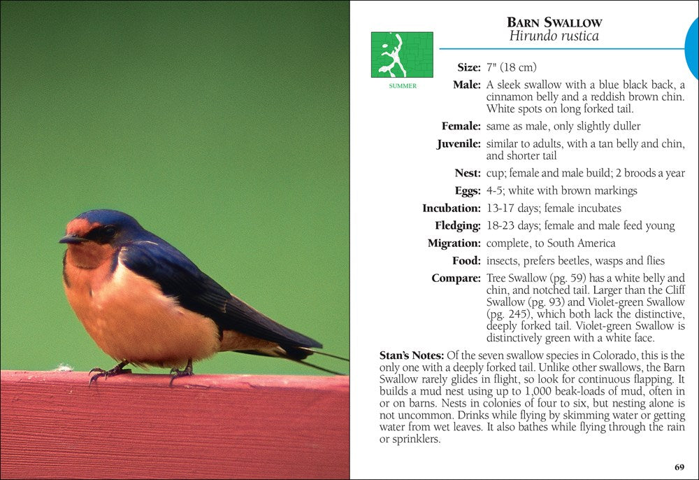 Birds of Colorado Field Guide