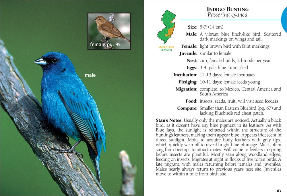 Birds of New Jersey Field Guide