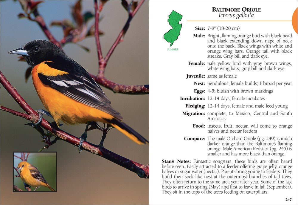 Birds of New Jersey Field Guide