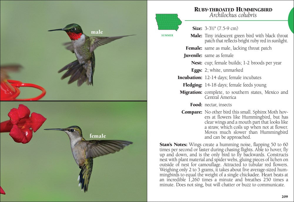 Birds of Iowa Field Guide