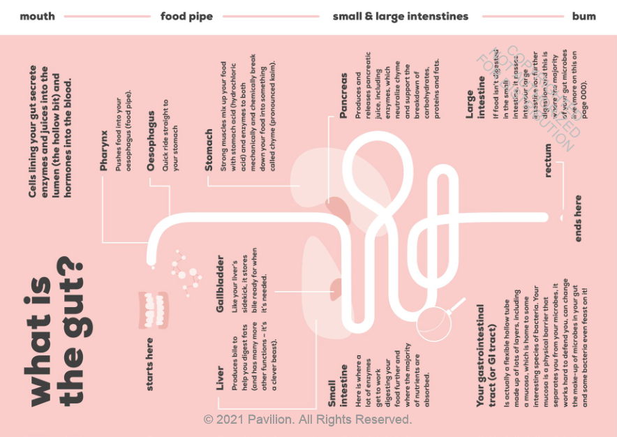 The Gut-Loving Cookbook