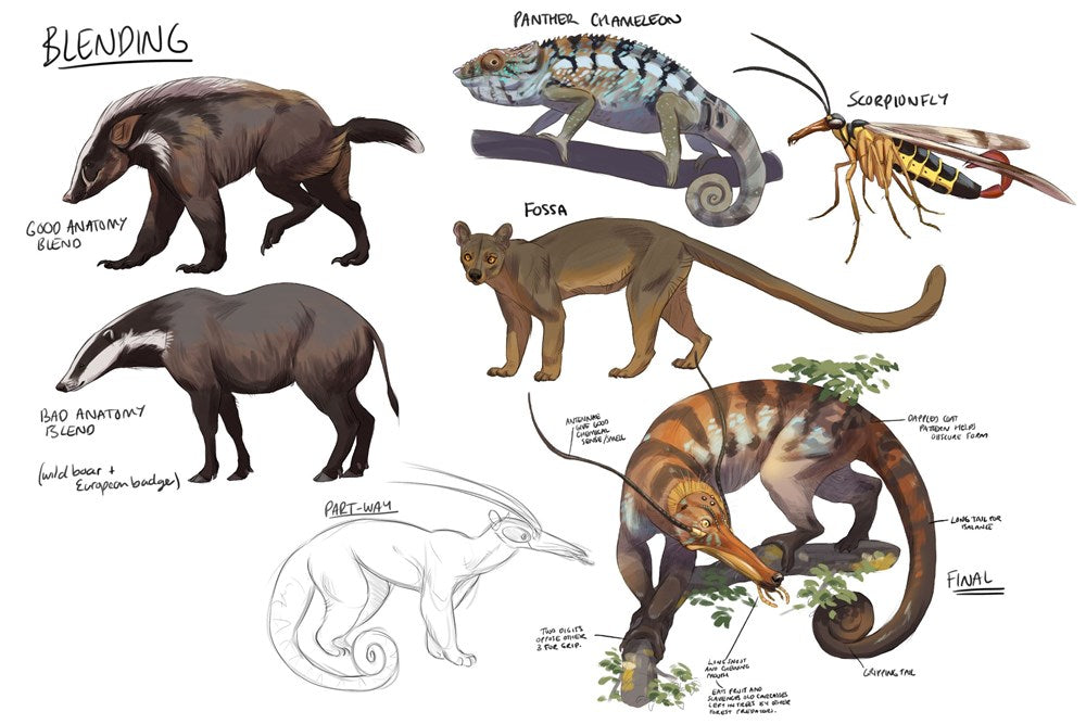 Fundamentals of Creature Design
