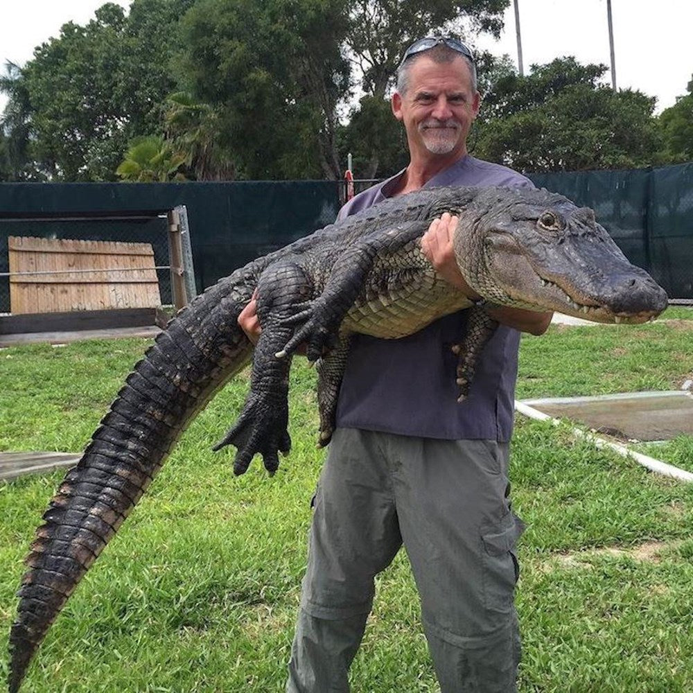 The Vet at Noah's Ark