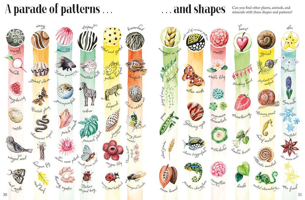 Shapes and Patterns in Nature