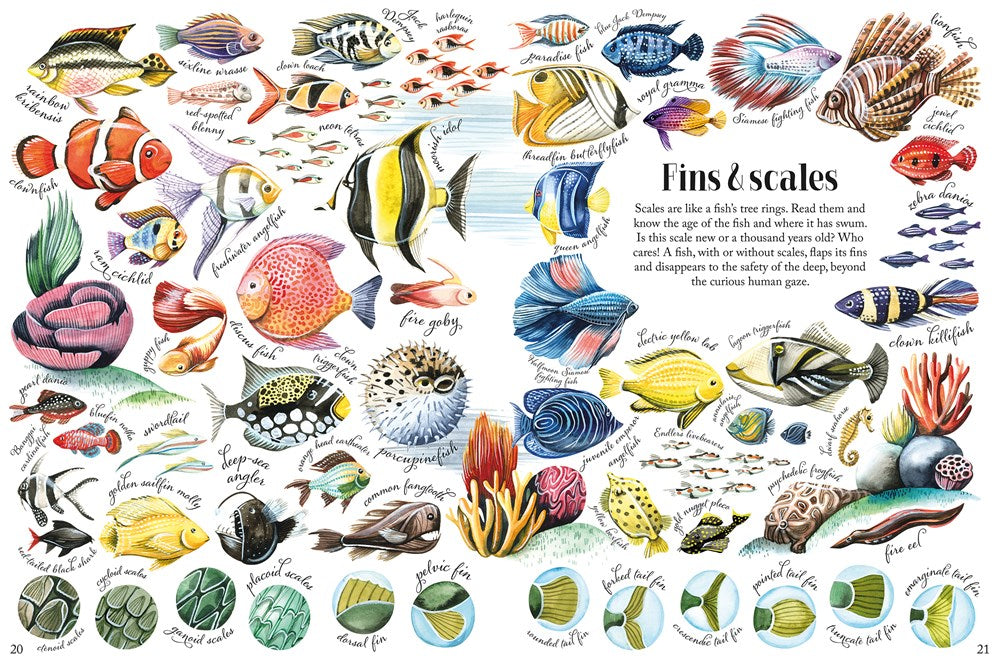 Shapes and Patterns in Nature