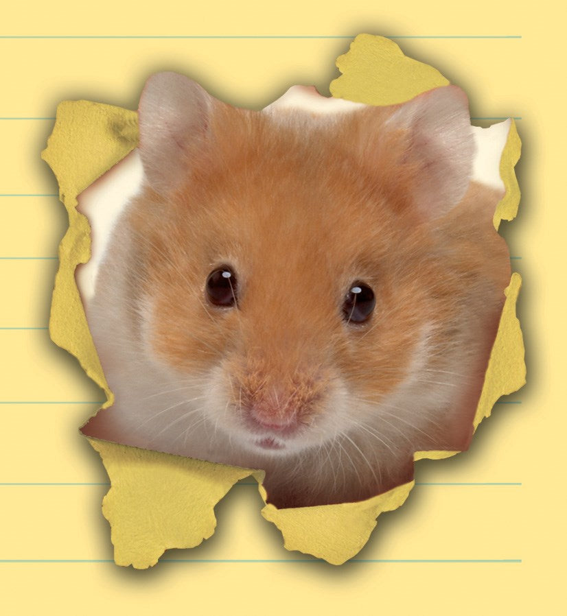 Summer According to Humphrey