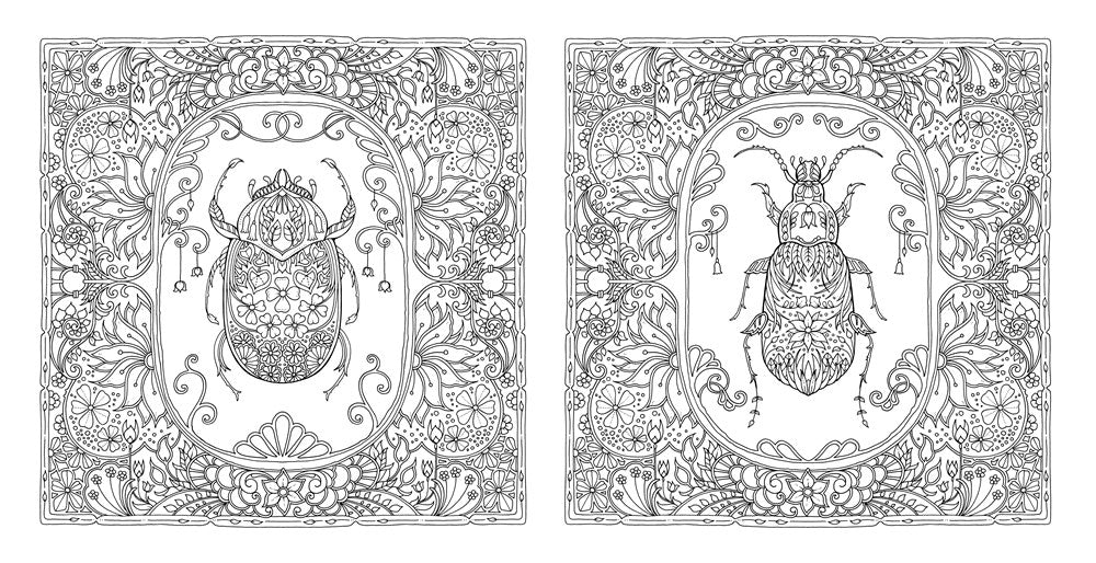 World of Flowers: A Coloring Book and Floral Adventure