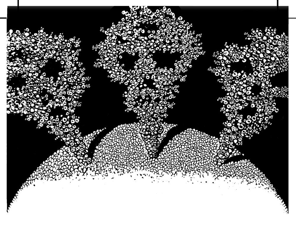 A Planet of Viruses