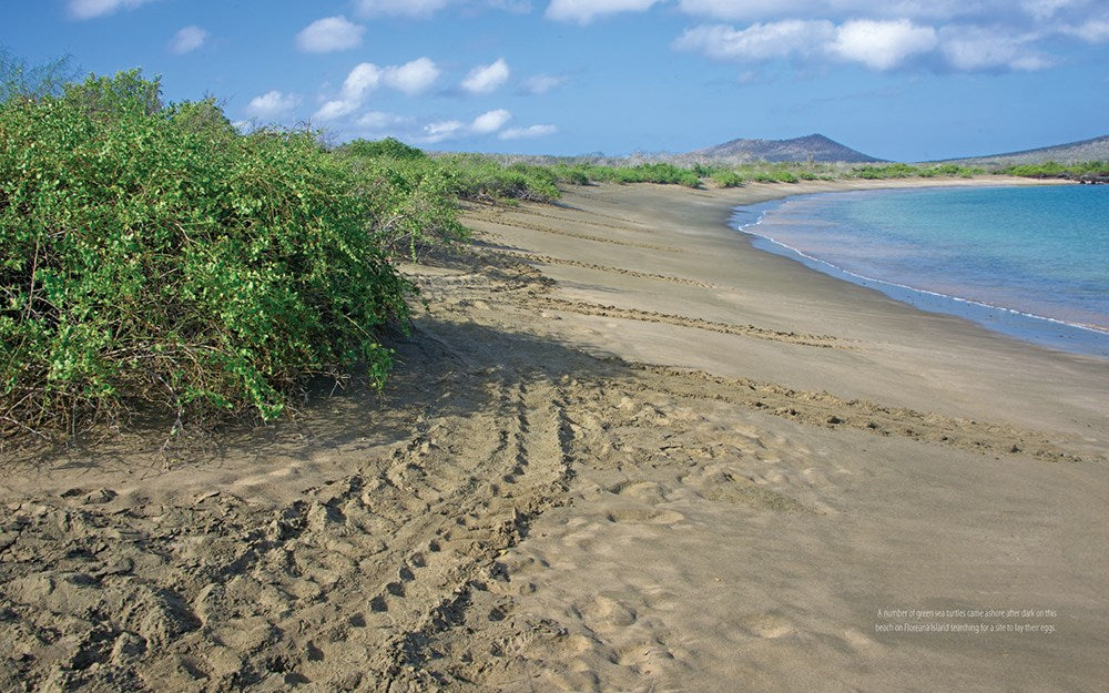 Galapagos