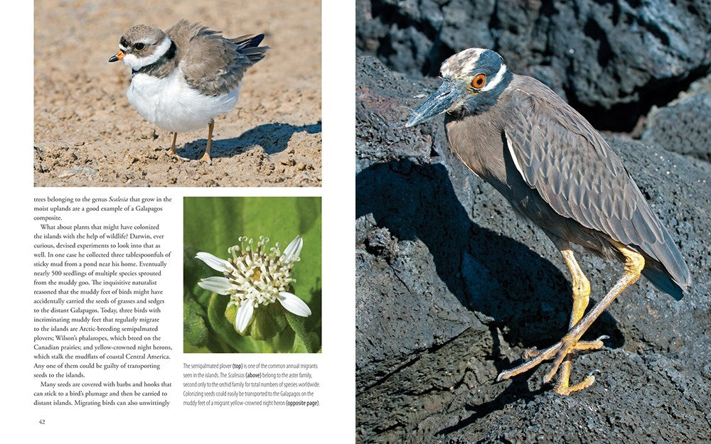 Galapagos