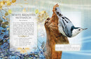 The Little Book of Woodland Bird Songs