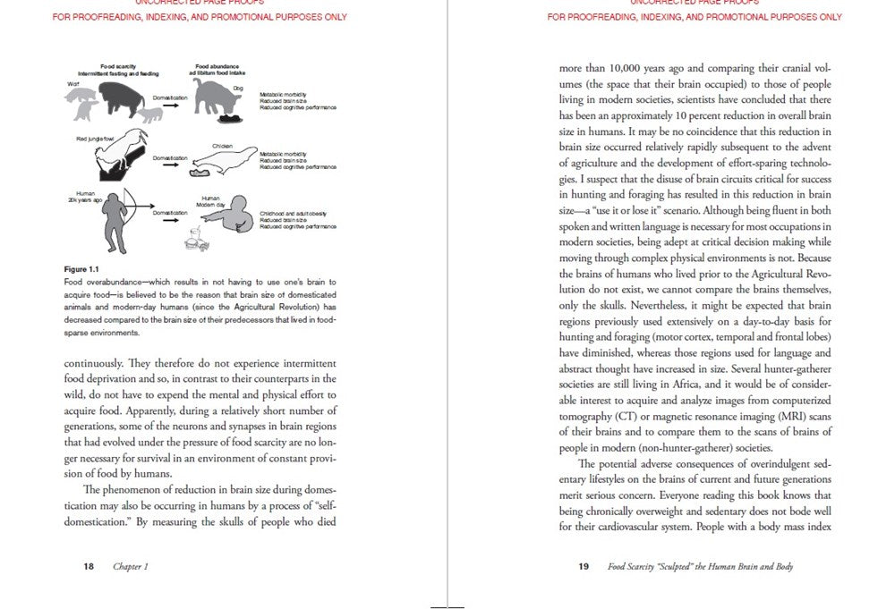 The Intermittent Fasting Revolution