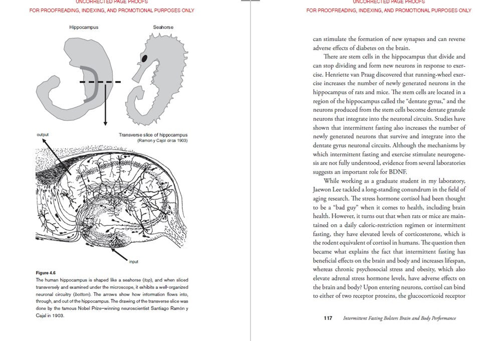 The Intermittent Fasting Revolution