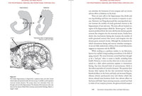 The Intermittent Fasting Revolution