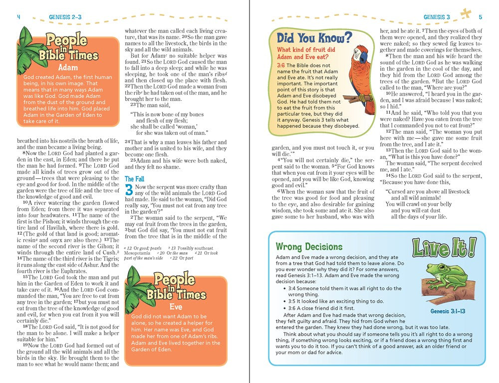 NIV, Adventure Bible, Hardcover, Full Color