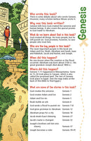 NIV, Adventure Bible, Leathersoft, Pink, Full Color  (Revised)