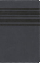 NIrV, Holy Bible, Large Print, Leathersoft, Blue