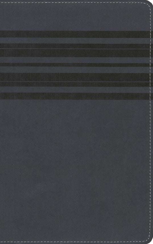 NIrV, Holy Bible, Large Print, Leathersoft, Blue