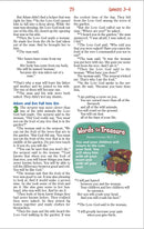 NIrV, Adventure Bible for Early Readers, Leathersoft, Pink, Full Color