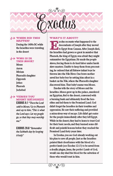 NIV, Bible for Teen Girls, Hardcover