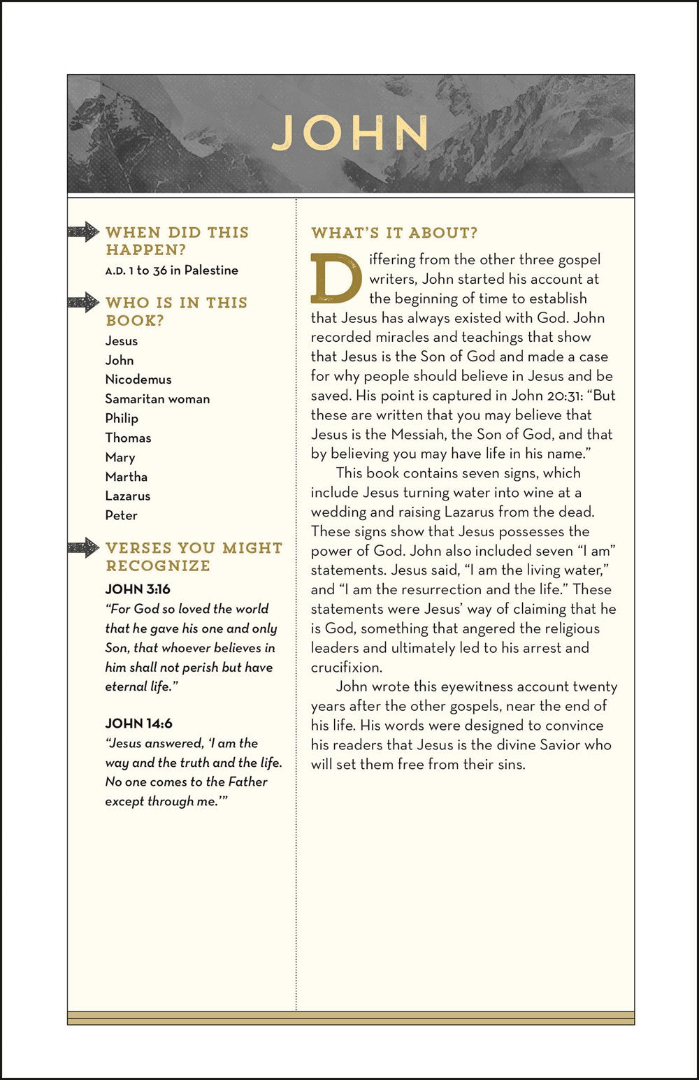 NIV, Bible for Teen Guys, Hardcover