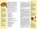 NIV, Kids' Visual Study Bible, Leathersoft, Teal, Full Color Interior