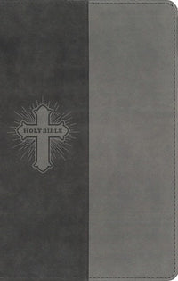 NIV, Bible for Kids, Leathersoft, Gray, Red Letter, Comfort Print: Thinline Edition