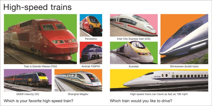 My Big Train Book