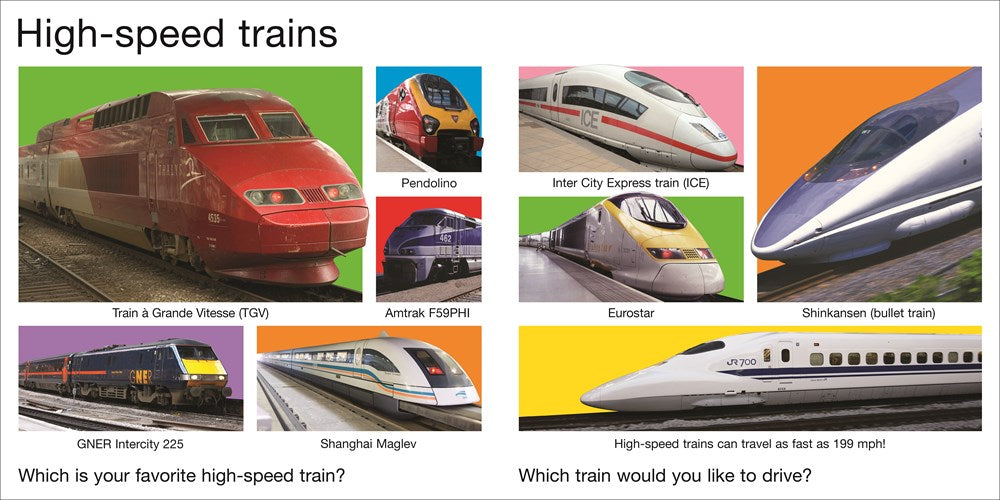 My Big Train Book