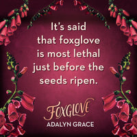 Foxglove