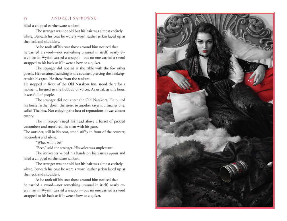 The Last Wish: Illustrated Edition (Illustrated)