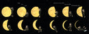 A Big Mooncake for Little Star (Caldecott Honor Book)