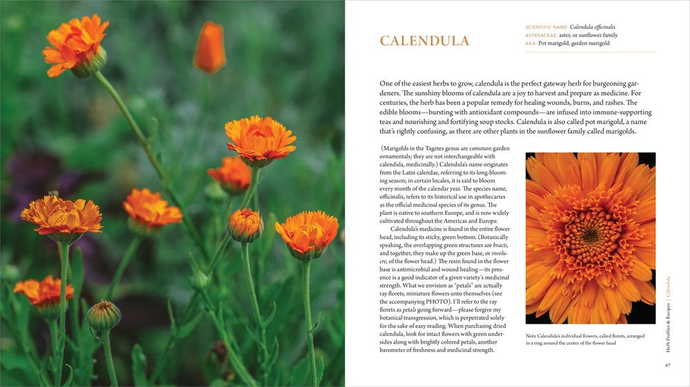 The Healing Garden: Cultivating and Handcrafting Herbal Remedies