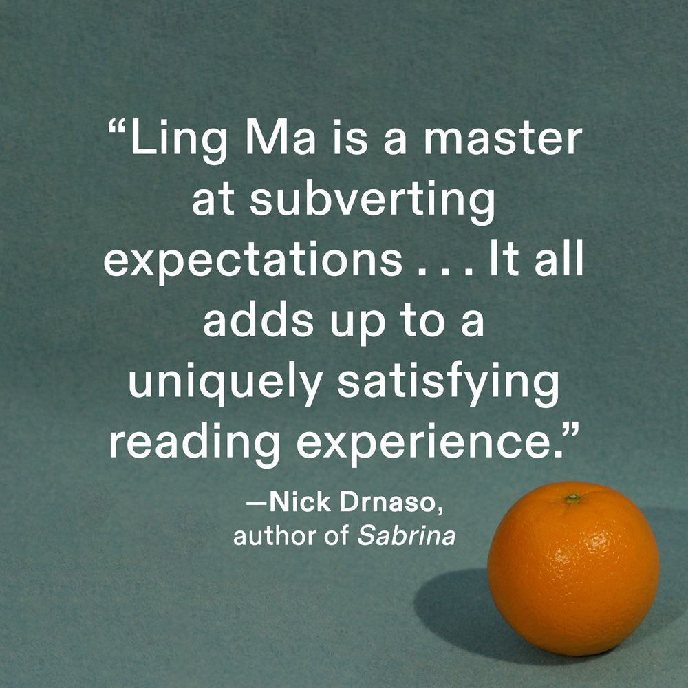 Bliss Montage: Stories