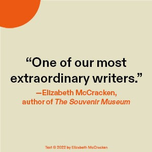 The Book of Goose: A Novel