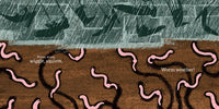Worm Weather