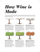 Wine Folly: Magnum Edition : The Master Guide