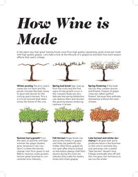 Wine Folly: Magnum Edition : The Master Guide