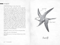 Pembrick's Creaturepedia