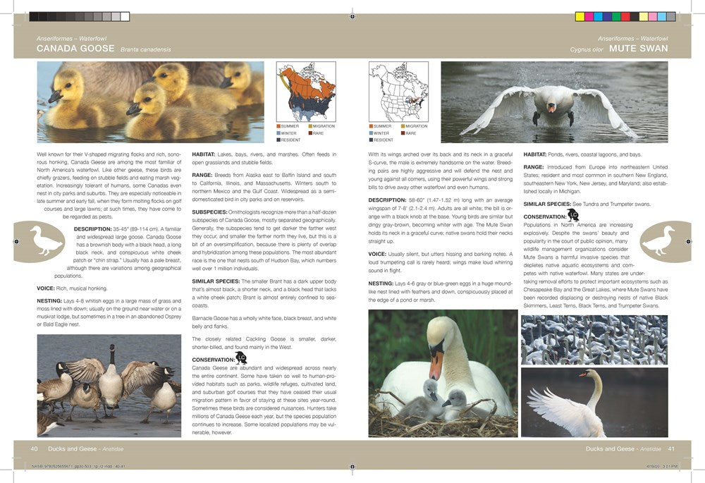 National Audubon Society Birds of North America