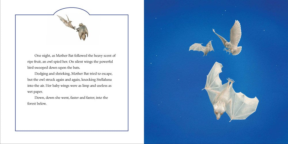 Stellaluna 25th Anniversary Edition