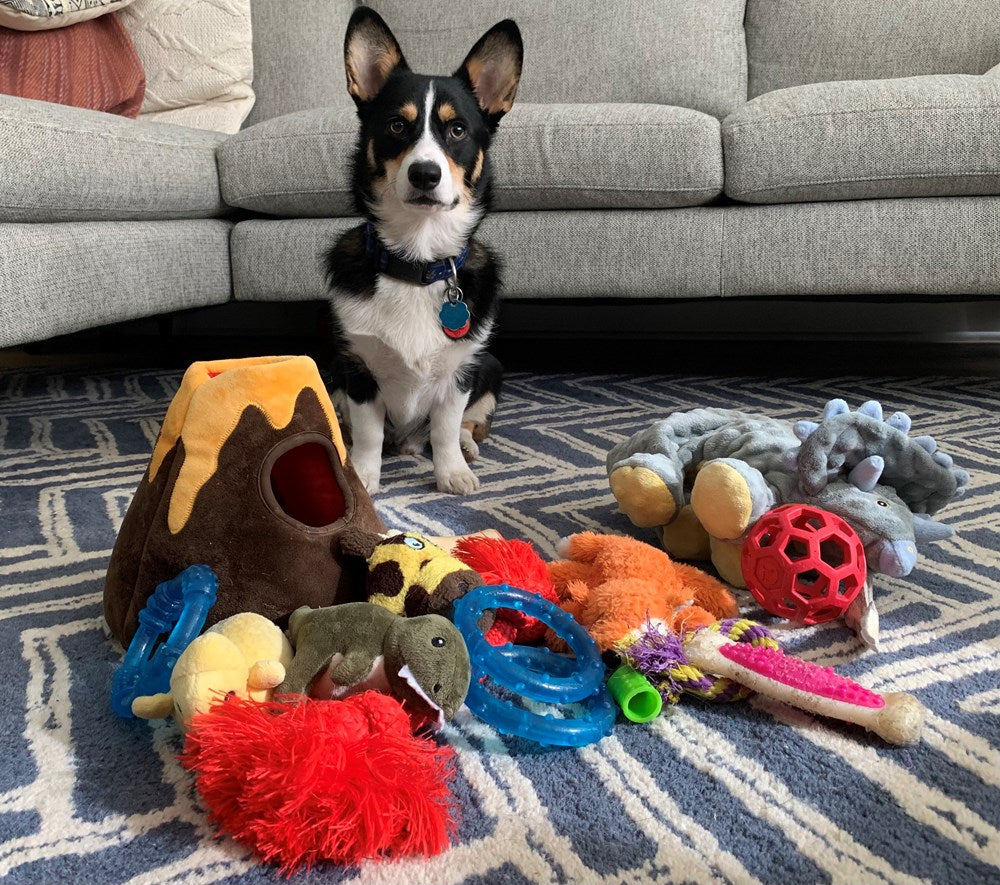 An Immense World: How Animal Senses Reveal the Hidden Realms Around Us