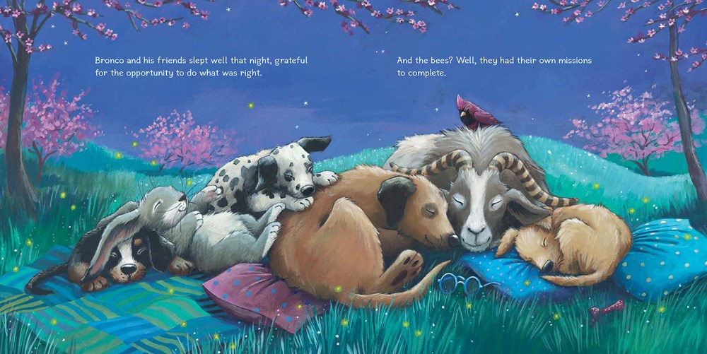 Bronco and Friends: Mission Possible