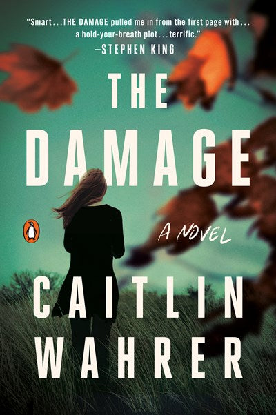 The Damage: A Novel