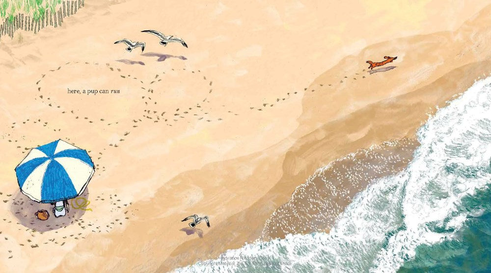 Hot Dog: (Winner of the 2023 Caldecott Medal)