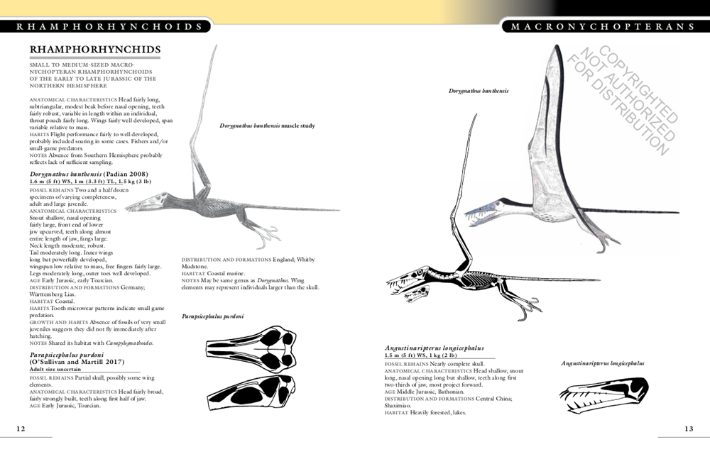 The Princeton Field Guide to Pterosaurs
