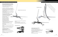 The Princeton Field Guide to Pterosaurs