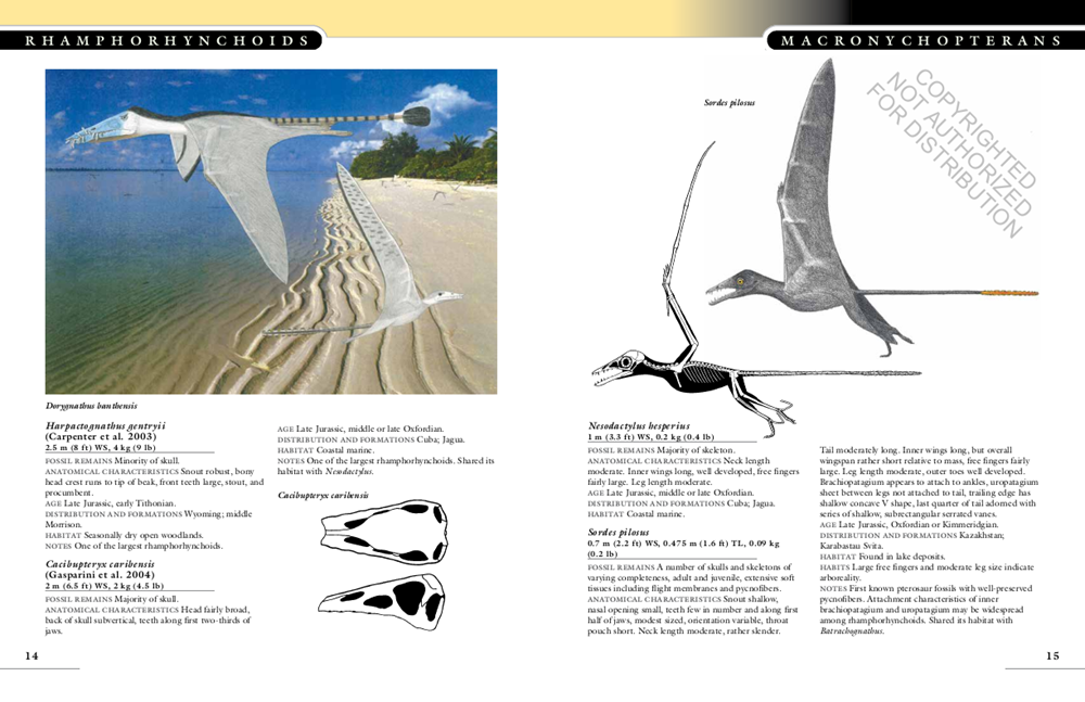 The Princeton Field Guide to Pterosaurs