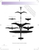 The Princeton Field Guide to Pterosaurs