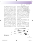 The Princeton Field Guide to Pterosaurs